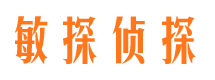 怀安市侦探调查公司